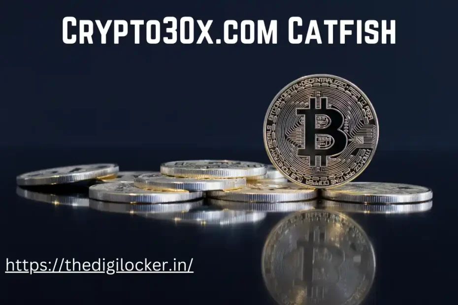 Crypto30x.com Catfish